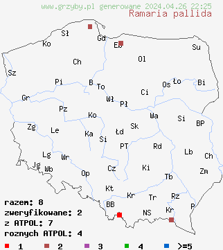 znaleziska Ramaria pallida na terenie Polski