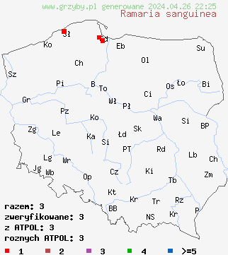znaleziska Ramaria sanguinea na terenie Polski