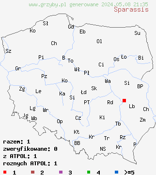 znaleziska Sparassis na terenie Polski