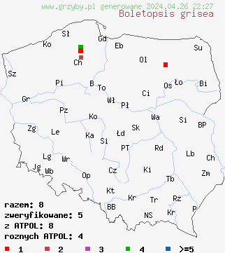 znaleziska Boletopsis grisea na terenie Polski
