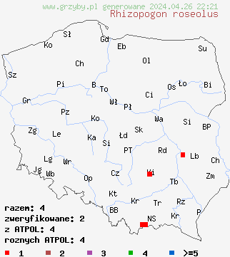 znaleziska Rhizopogon roseolus na terenie Polski