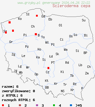 znaleziska Scleroderma cepa na terenie Polski