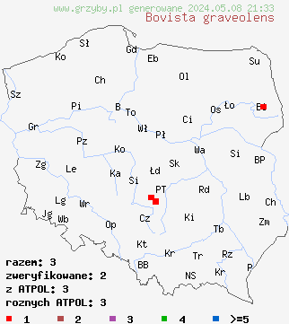 znaleziska Bovista graveolens (kurzawka polna) na terenie Polski