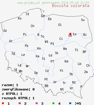znaleziska Bovista colorata (kurzawka barwna) na terenie Polski