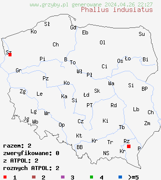 znaleziska Phallus duplicatus na terenie Polski