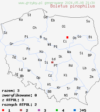 znaleziska Boletus pinophilus na terenie Polski