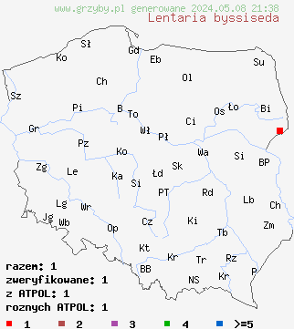 znaleziska Lentaria byssiseda (koralóweczka płowoochrowa) na terenie Polski