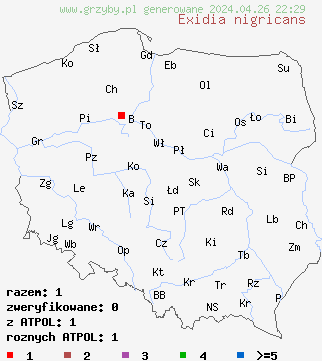 znaleziska Exidia nigricans na terenie Polski