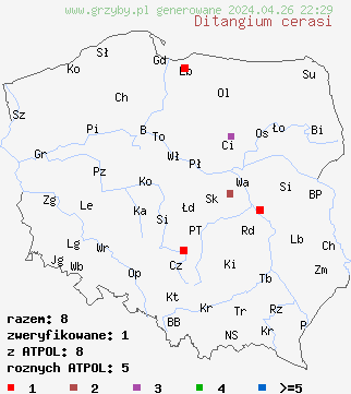 znaleziska Ditangium cerasi na terenie Polski