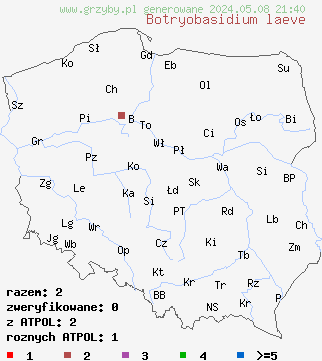 znaleziska Botryobasidium laeve na terenie Polski