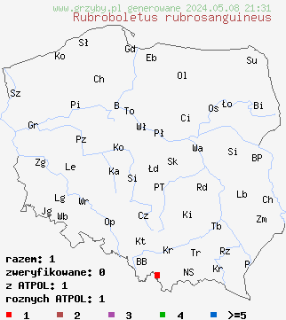 znaleziska Rubroboletus rubrosanguineus (krwistoborowik Å›wierkowo-jodÅ‚owy) na terenie Polski