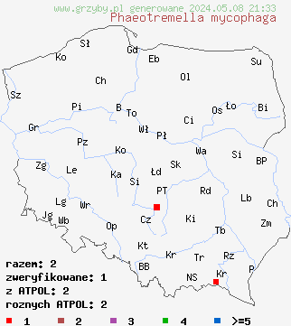 znaleziska Phaeotremella mycophaga (trzęsak grzybojadek) na terenie Polski