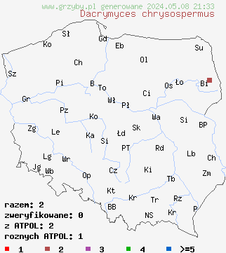 znaleziska Dacrymyces chrysospermus (łzawnik złocistozarodnikowy) na terenie Polski