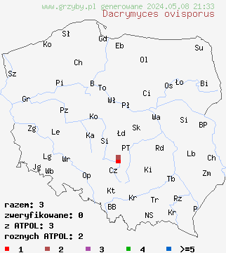znaleziska Dacrymyces ovisporus (łzawnik jajowatozarodnikowy) na terenie Polski