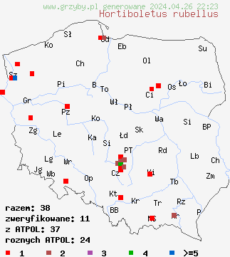 znaleziska Hortiboletus rubellus na terenie Polski