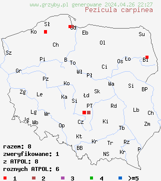 znaleziska Pezicula carpinea na terenie Polski