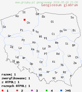 znaleziska Geoglossum glabrum (ziemiozorek gładki) na terenie Polski