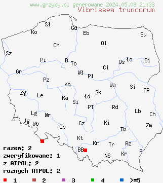 znaleziska Vibrissea truncorum na terenie Polski