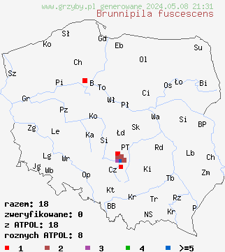 znaleziska Brunnipila fuscescens na terenie Polski