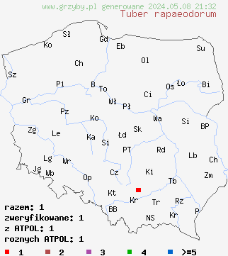 znaleziska Tuber rapaeodorum (trufla rzepiasta) na terenie Polski