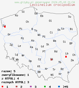 znaleziska Leccinellum crocipodium (koźlarek bruzdkowany) na terenie Polski