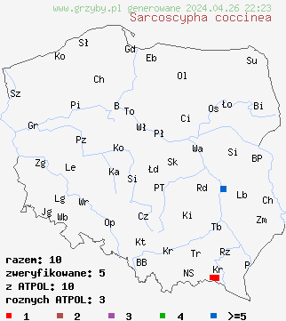 znaleziska Sarcoscypha coccinea na terenie Polski
