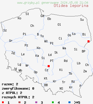 znaleziska Otidea leporina (uchówka zajęcza) na terenie Polski