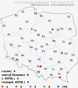 znaleziska Melastiza cornubiensis na terenie Polski