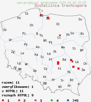 znaleziska Scutellinia trechispora na terenie Polski