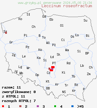 znaleziska Leccinum roseofractum (koźlarz czarnobrązowy) na terenie Polski