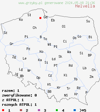 znaleziska Helvella (piestrzyca) na terenie Polski