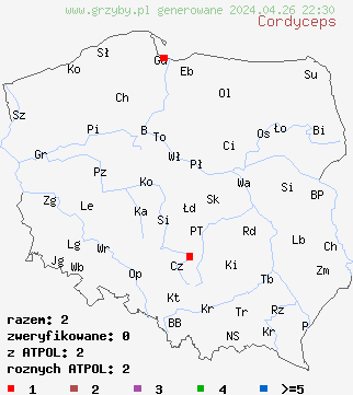 znaleziska Cordyceps na terenie Polski