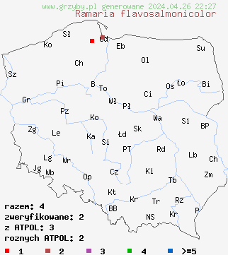 znaleziska Ramaria flavosalmonicolor na terenie Polski