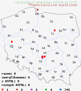 znaleziska Phaeoclavulina myceliosa na terenie Polski