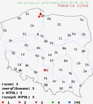 znaleziska Ramaria lutea na terenie Polski