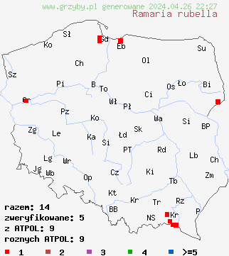 znaleziska Ramaria rubella na terenie Polski