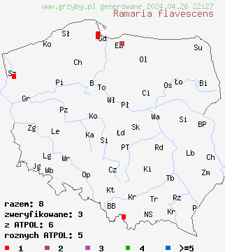 znaleziska Ramaria flavescens na terenie Polski