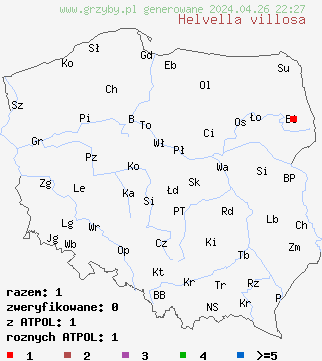 znaleziska Helvella villosa na terenie Polski