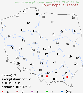 znaleziska Coprinopsis laanii (czernidłak omączony) na terenie Polski