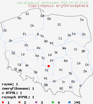 znaleziska Coprinopsis erythrocephala na terenie Polski