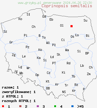 znaleziska Coprinopsis semitalis na terenie Polski