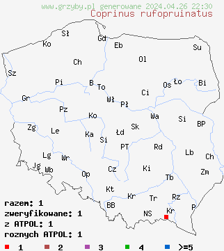 znaleziska Coprinus rufopruinatus na terenie Polski