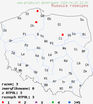 znaleziska Russula roseipes na terenie Polski