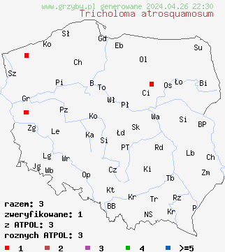 znaleziska Tricholoma atrosquamosum na terenie Polski