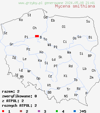 znaleziska Mycena smithiana (grzybówka bladoszara) na terenie Polski