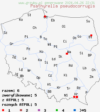 znaleziska Psathyrella pseudocorrugis na terenie Polski