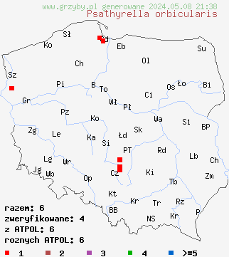 znaleziska Psathyrella orbicularis na terenie Polski