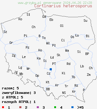 znaleziska Cortinarius heterosporus na terenie Polski