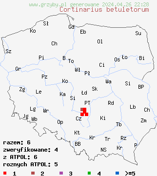 znaleziska Cortinarius betuletorum na terenie Polski