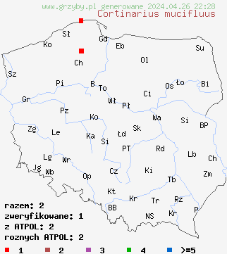 znaleziska Cortinarius mucifluus na terenie Polski